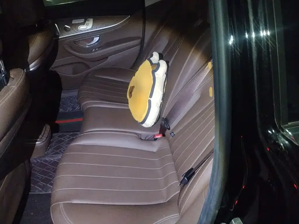 Mercedes-Benz Mercedes-Benz E-Class 2022 Facelift III E 300 L Luxury — Фото автомобиля 13