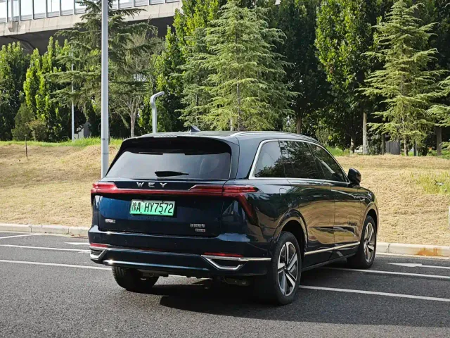 Wey Lanshan — Фото автомобиля 9