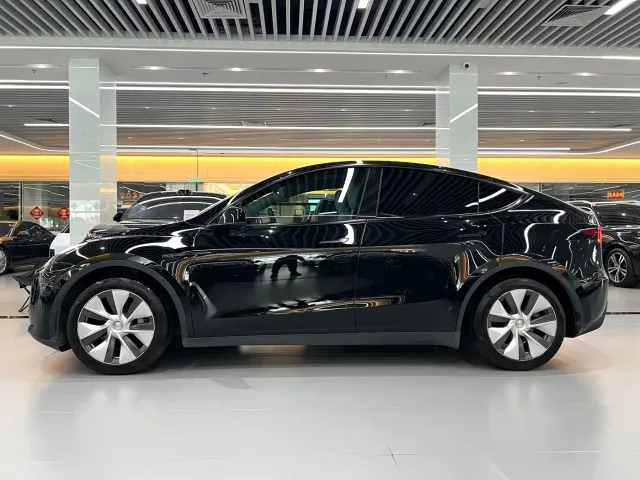 Tesla Model Y — Фото автомобиля 3