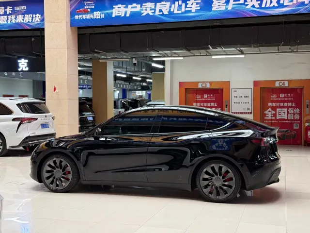Tesla Model Y — Фото автомобиля 9