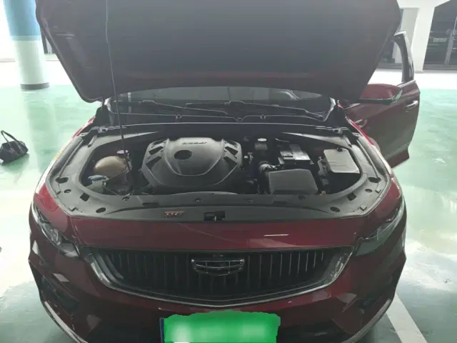 Geely Xing Rui 2021 2.0TD Flagship Model — Фото автомобиля 21