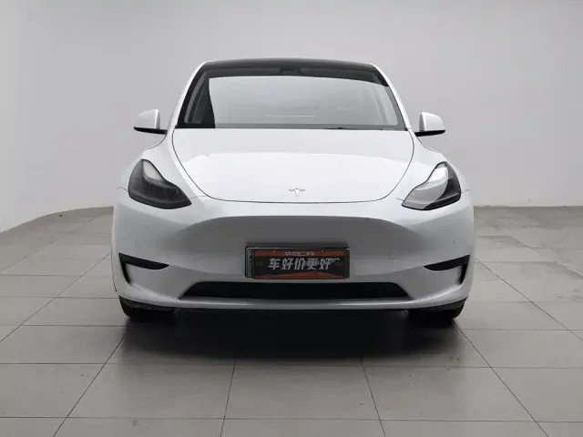 Tesla Model Y — Фото автомобиля 3