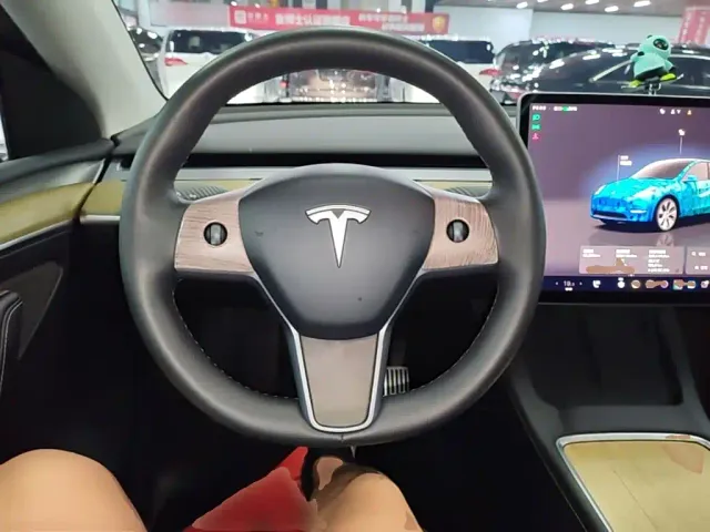 Tesla Model Y — Фото автомобиля 10