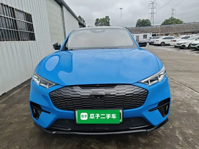 Ford Mustang Mach-E — Фото автомобиля 2