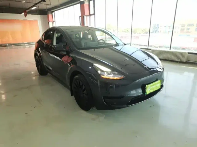Tesla Model Y — Фото автомобиля 3