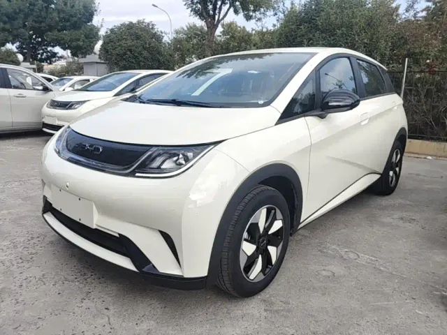Фотография автомобиля — BYD Dolphin