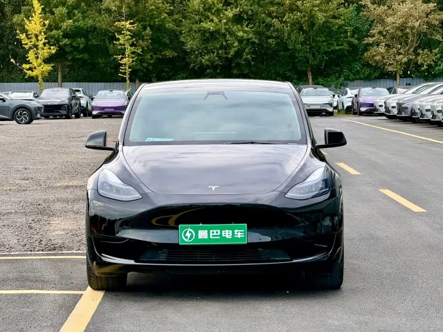 Tesla Model Y — Фото автомобиля 2