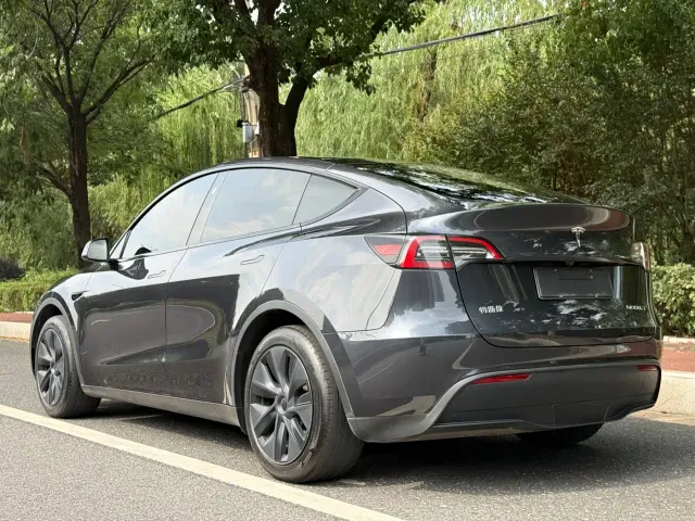 Tesla Model Y — Фото автомобиля 3