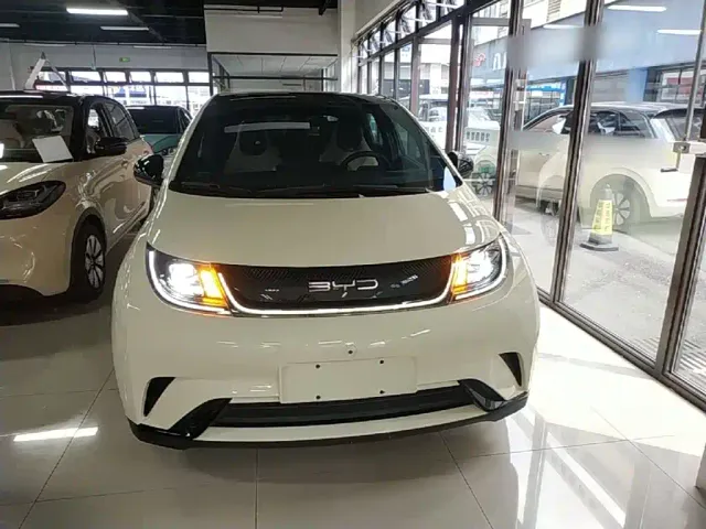 BYD Dolphin — Фото автомобиля 2