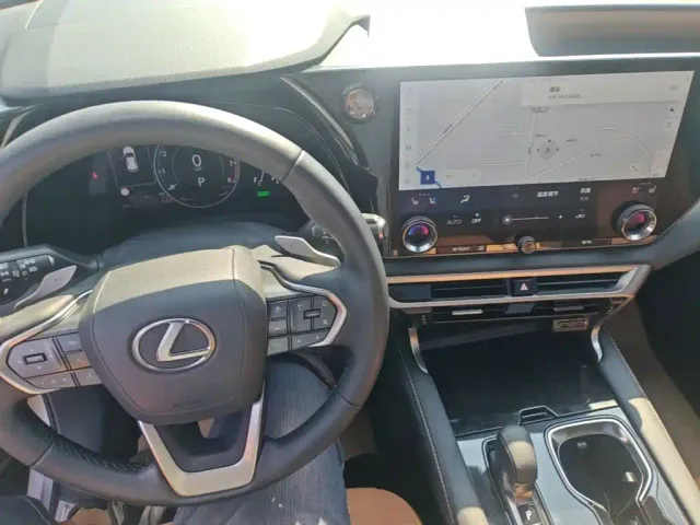 Lexus RX — Фото автомобиля 9