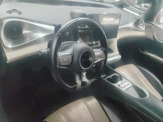 BYD Dolphin — Фото автомобиля 12