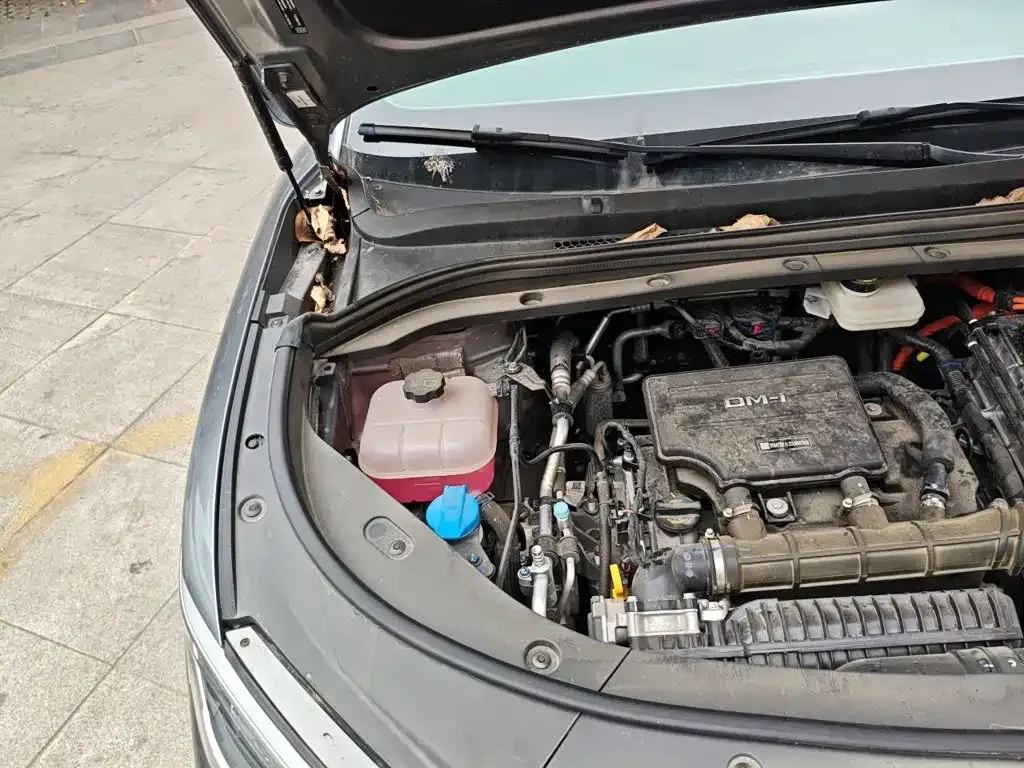 BYD Song L DM-i 2025 Smart Drive Edition 112km Surpassing — Фото автомобиля 19