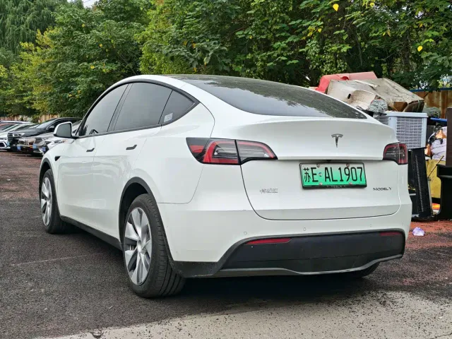 Tesla Model Y — Фото автомобиля 2