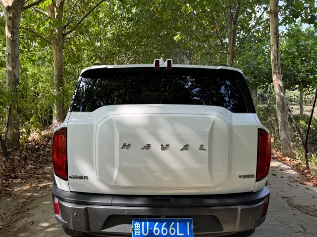 Haval Cool Dog — Фото автомобиля 5