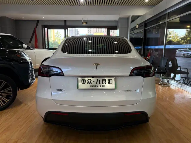Tesla Model Y — Фото автомобиля 13