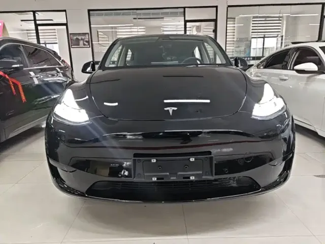 Tesla Model Y — Фото автомобиля 2