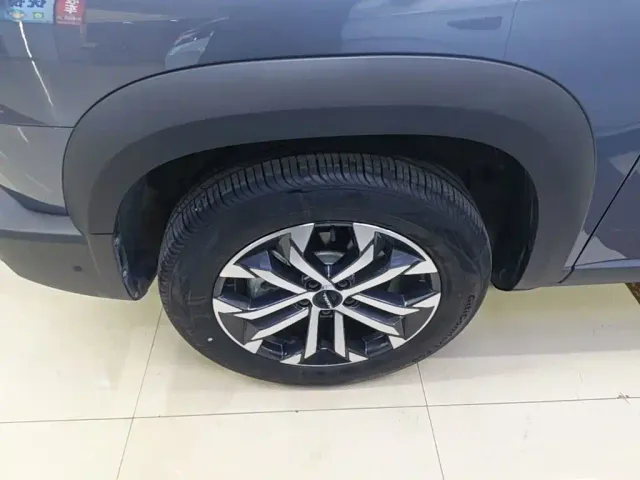 Haval Big Dog — Фото автомобиля 22