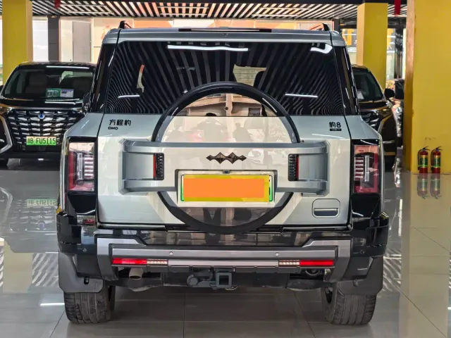 BYD FangChengBao Leopard 8 — Фото автомобиля 16