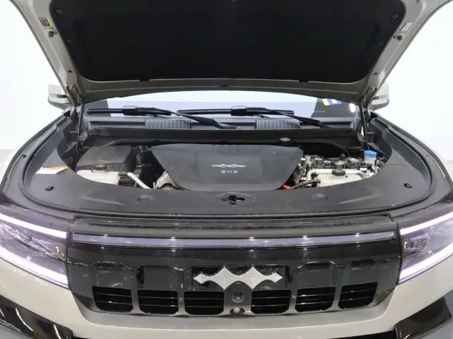 BYD FangChengBao Leopard 8 — Фото автомобиля 20