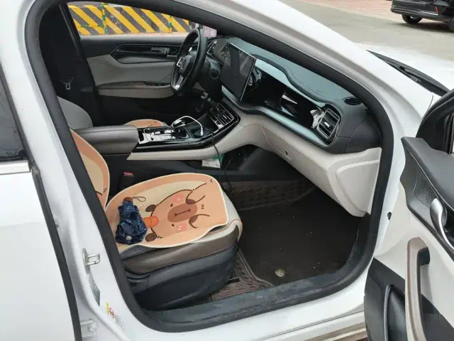 BYD Qin PLUS — Фото автомобиля 8