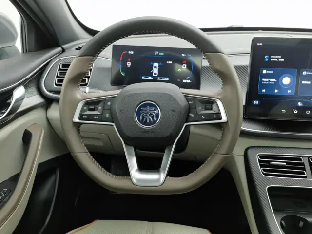 BYD Qin PLUS — Фото автомобиля 11