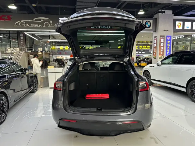 Tesla Model Y — Фото автомобиля 17