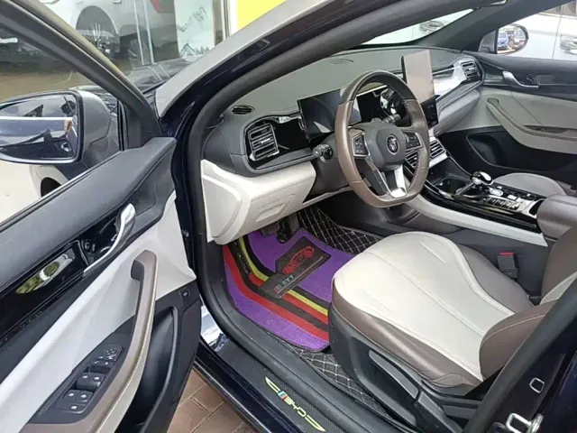 BYD Qin PLUS — Фото автомобиля 15