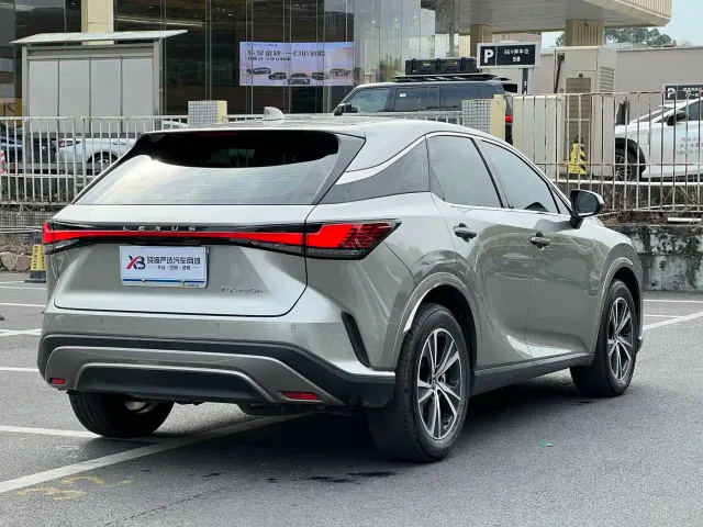 Lexus RX — Фото автомобиля 7