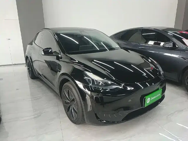 Tesla Model Y — Фото автомобиля 3