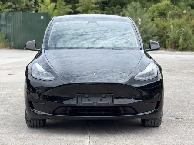 Tesla Model Y — Фото автомобиля 2