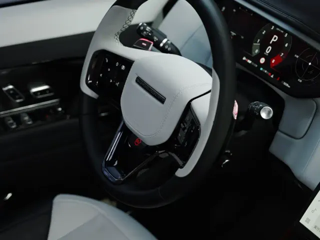 Land Rover Range Rover Sport — Фото автомобиля 13