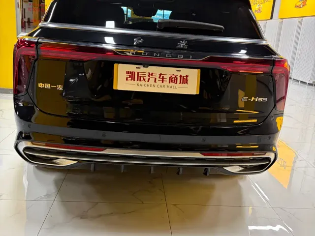 Hongqi E-HS9 — Фото автомобиля 6