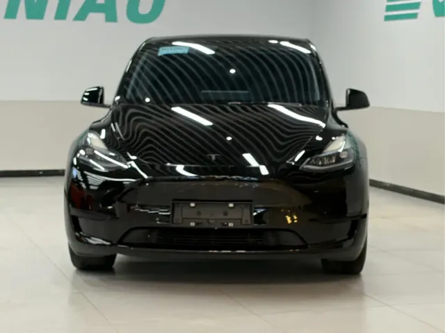 Tesla Model Y — Фото автомобиля 19