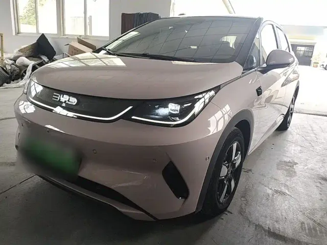 Фотография автомобиля — BYD Dolphin