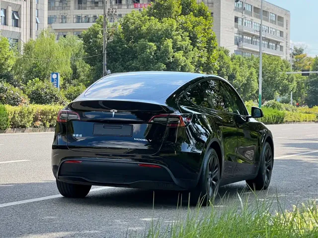 Tesla Model Y — Фото автомобиля 3