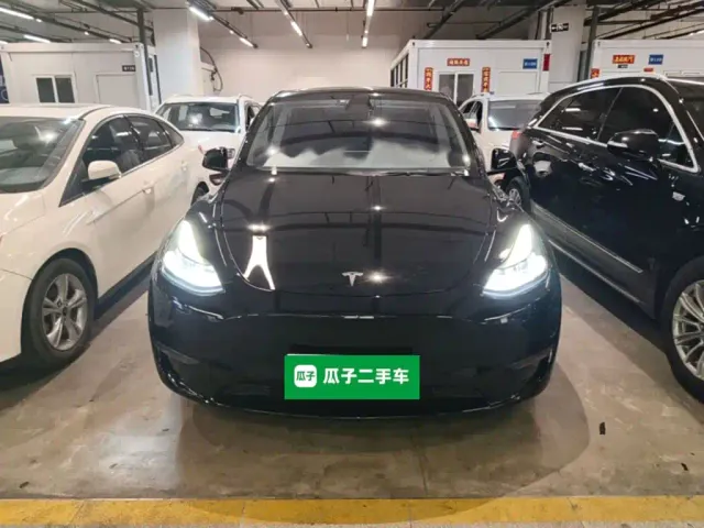 Tesla Model Y — Фото автомобиля 2