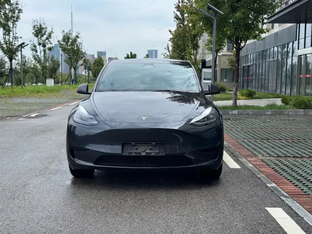Tesla Model Y — Фото автомобиля 2