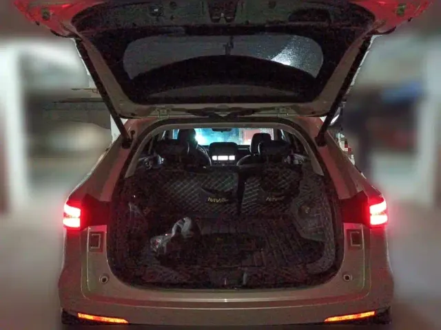 Haval Xiaolong MAX — Фото автомобиля 9