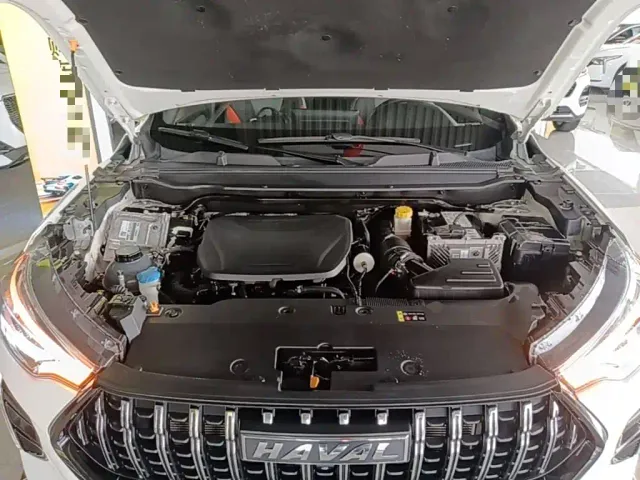 Haval Haval Chitu 2021 Turbo Edition 1.5T Golden Rabbit — Фото автомобиля 19