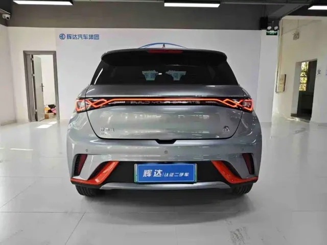 BYD Dolphin — Фото автомобиля 13