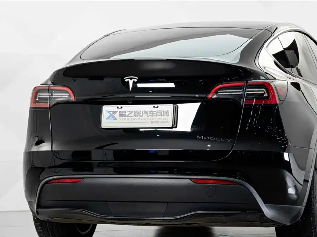 Tesla Model Y — Фото автомобиля 8