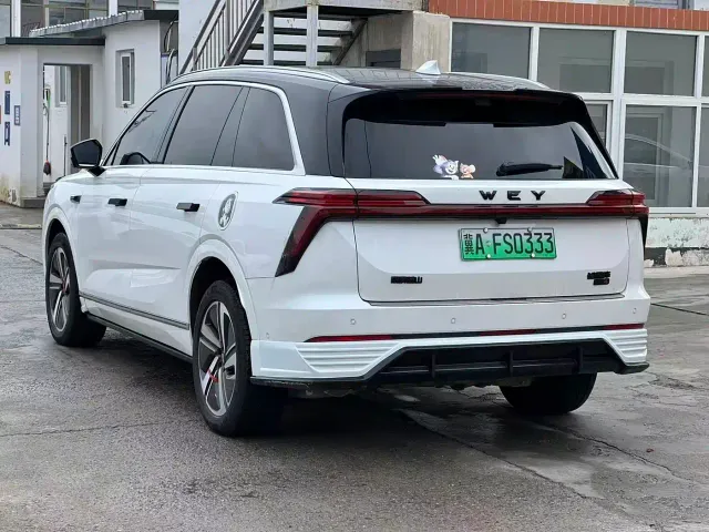 Wey Lanshan — Фото автомобиля 15