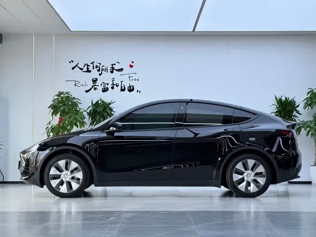 Tesla Model Y — Фото автомобиля 17