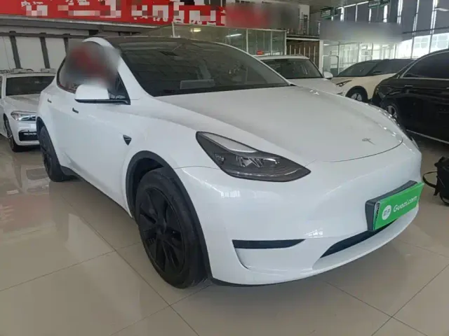 Tesla Model Y — Фото автомобиля 3
