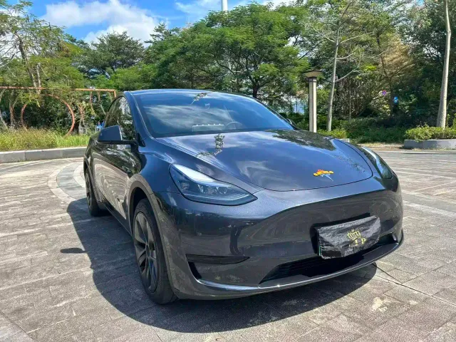 Tesla Model Y — Фото автомобиля 2