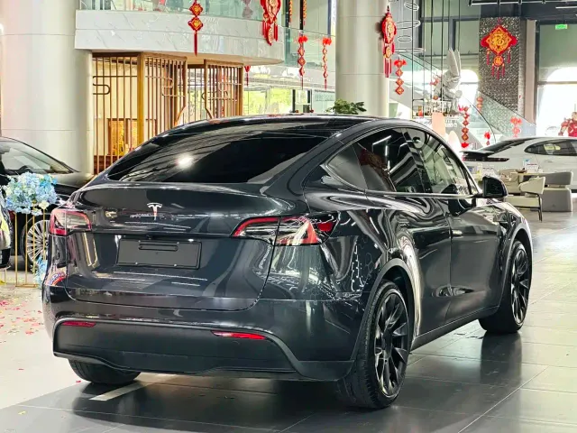 Tesla Model Y — Фото автомобиля 9