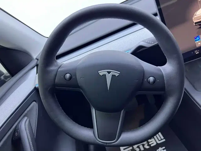Tesla Model Y — Фото автомобиля 20