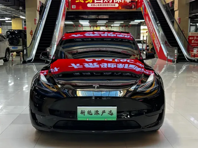 Tesla Model Y — Фото автомобиля 2