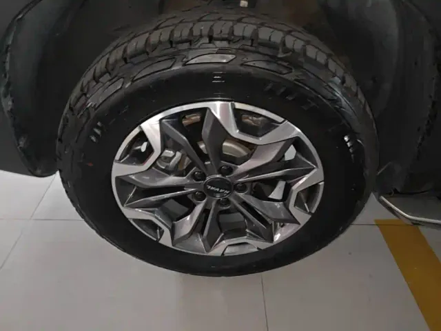 Haval Big Dog — Фото автомобиля 22