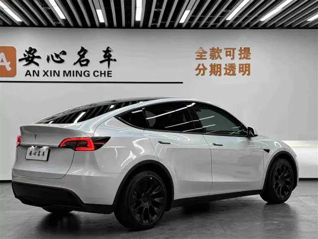 Tesla Model Y — Фото автомобиля 3